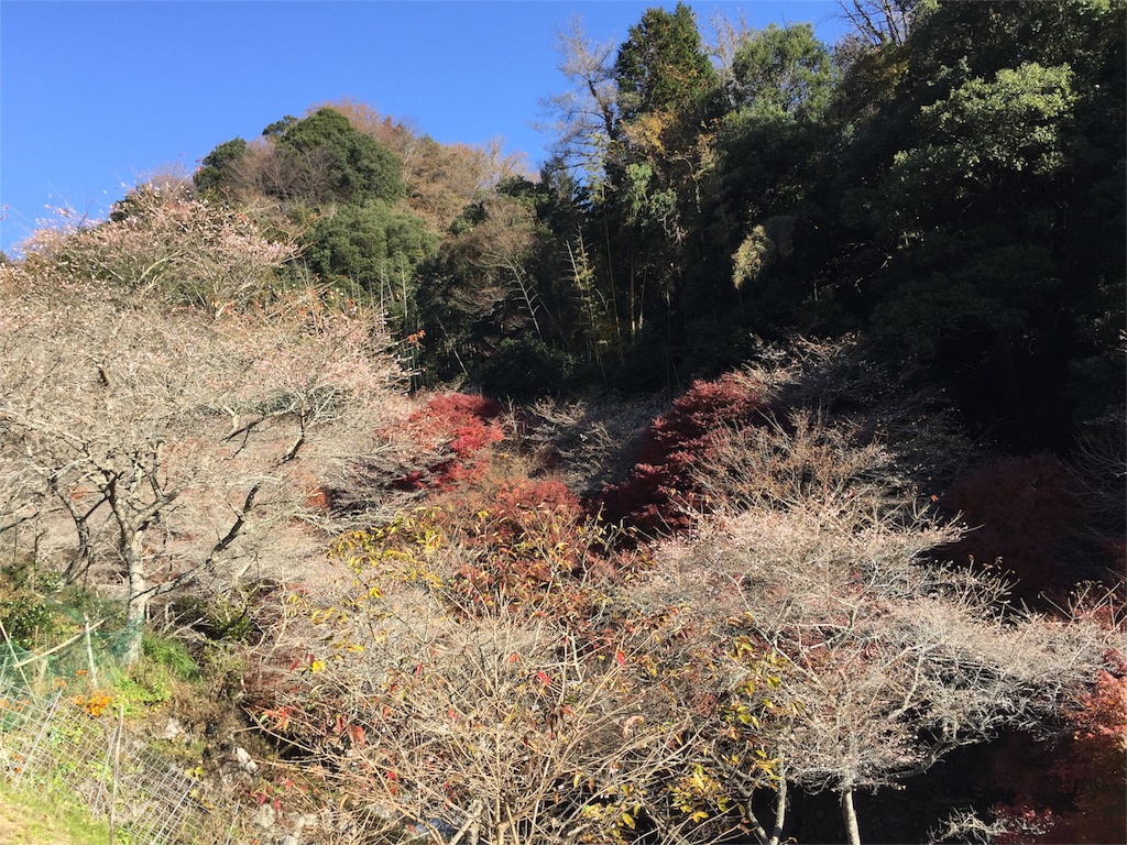 f:id:sangakusan:20161129150952j:image f:id:sangakusan:20161129150952j:image