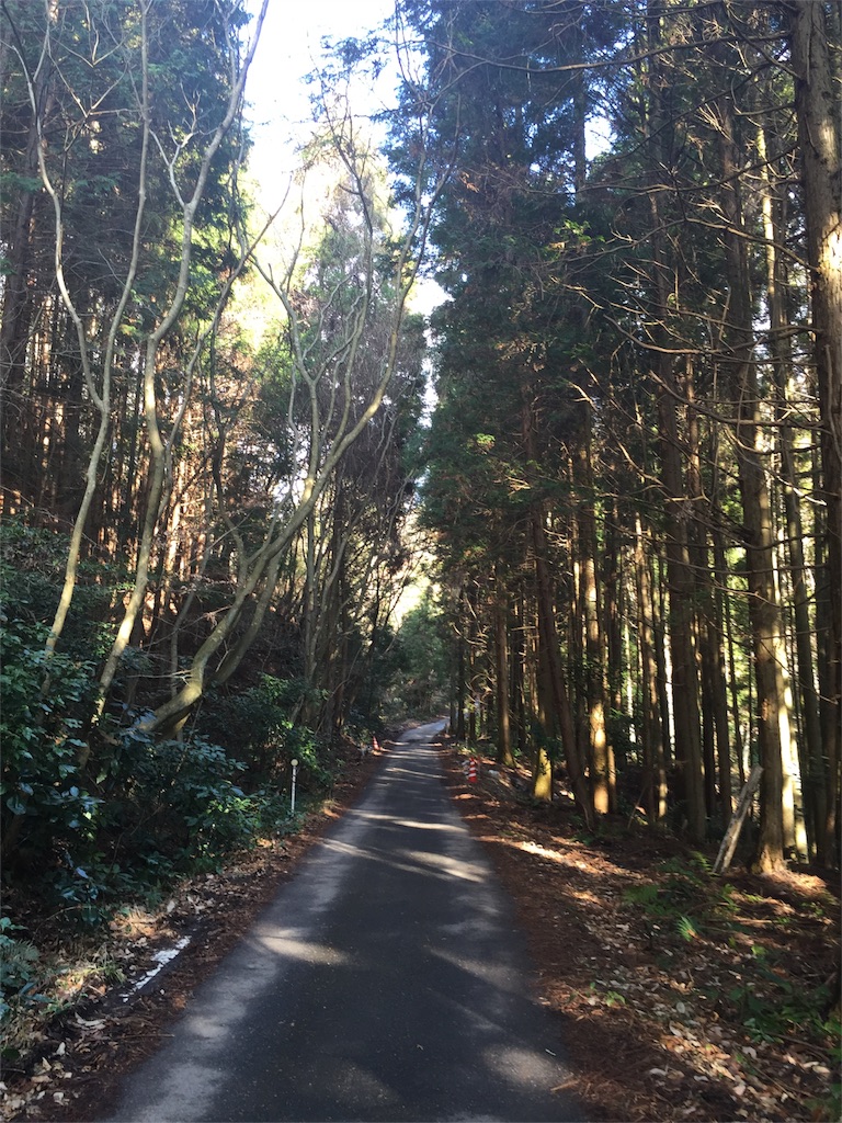 f:id:sangakusan:20170111152124j:image f:id:sangakusan:20170111152124j:image