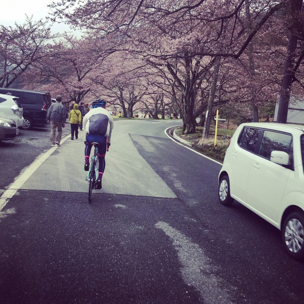f:id:sangakusan:20170505023454j:plain f:id:sangakusan:20170505023454j:plain