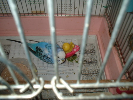 20091024200430