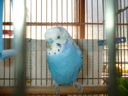 20100614124731