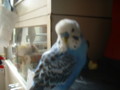 20110919081603