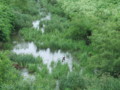 20160626135657