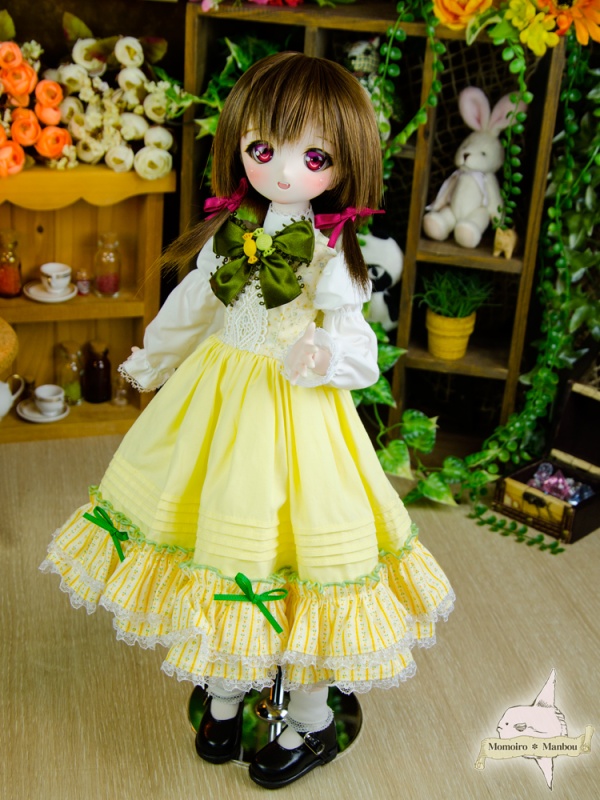 f:id:sango-momo:20160130170312j:plain f:id:sango-momo:20160130170312j:plain
