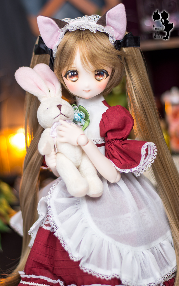 DDH-22 フレッシュ　ヘッドのみ ドルフィードリーム DDH-22 フレッシュヘッドのみ ドルフィードリーム