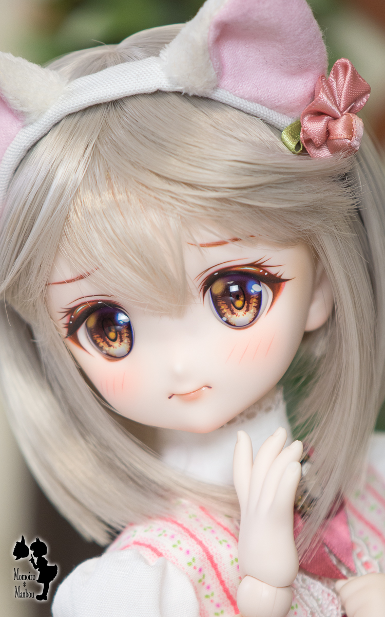 DDH-22(セミホワイト肌)<MDDカスタムヘッド> - ドール三昧 DDH-22(セミホワイト肌)<MDDカスタムヘッド> - ドール三昧