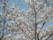 20100404113438