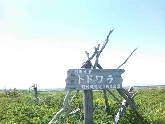 散歩