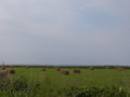 20140628084950