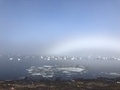 20190410082631
