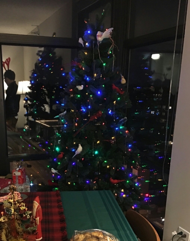 アメリカンなクリスマスパーティー Sangomanのシカゴ郊外生活