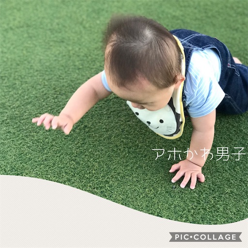ハイハイをする赤ちゃん