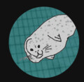 20250428225022