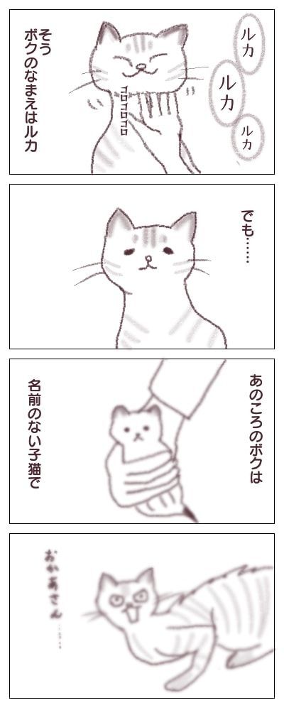 ボクの名前は ルカ ルカクラさんちの猫と人
