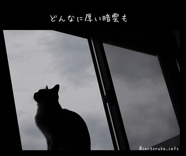 f:id:sangoruka_cats:20180624184139p:plain f:id:sangoruka_cats:20180624184139p:plain