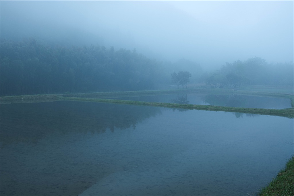 FUJIFILM XF23㎜ f/2