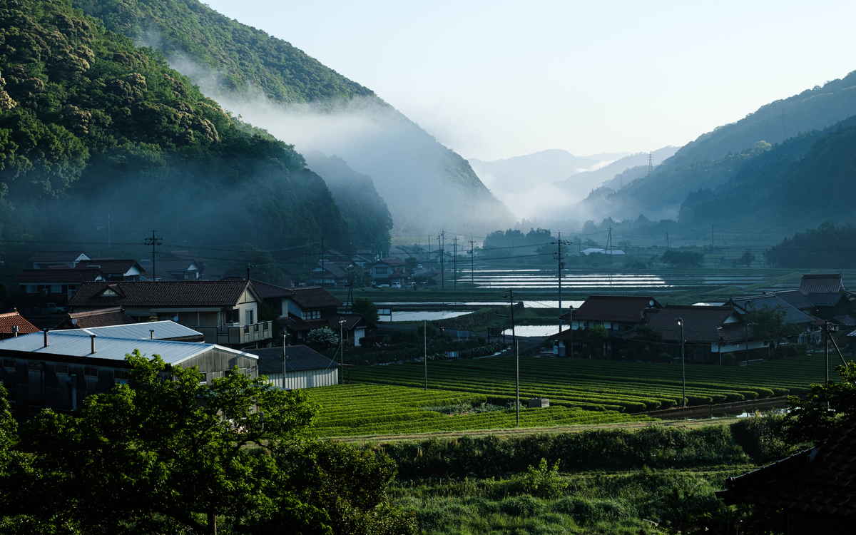 FUJIFILM XF50㎜ f/2