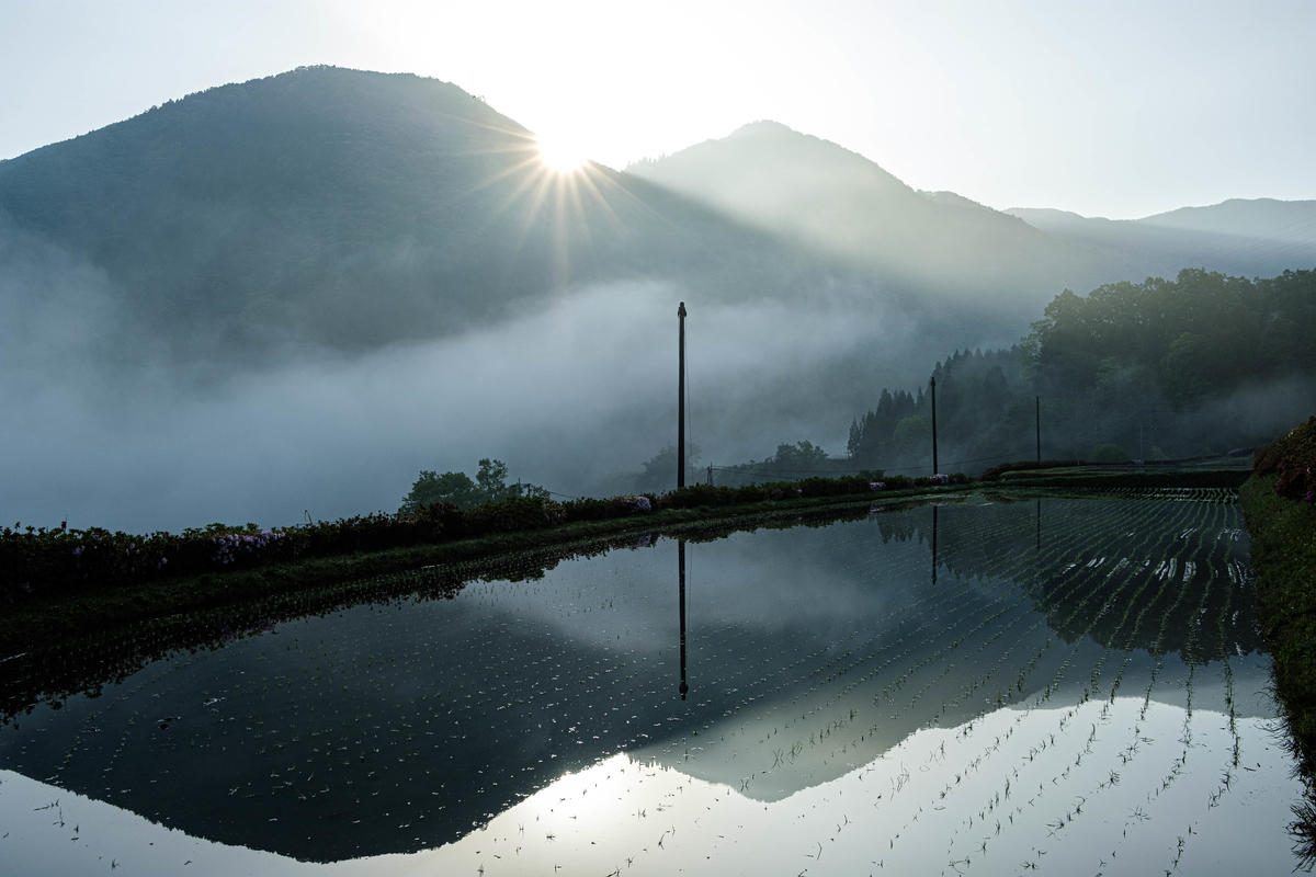 FUJIFILM XF23㎜ f/2