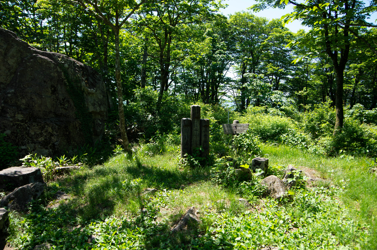 f:id:saninspotmatic:20200608184309j:plain