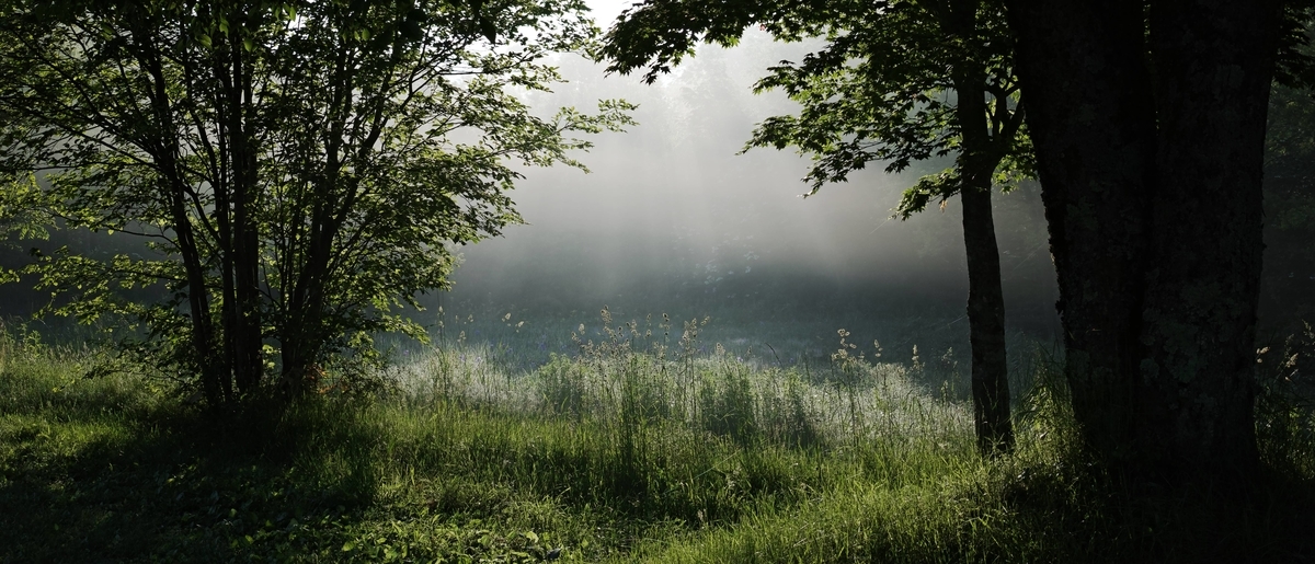 f:id:saninspotmatic:20200609215356j:plain