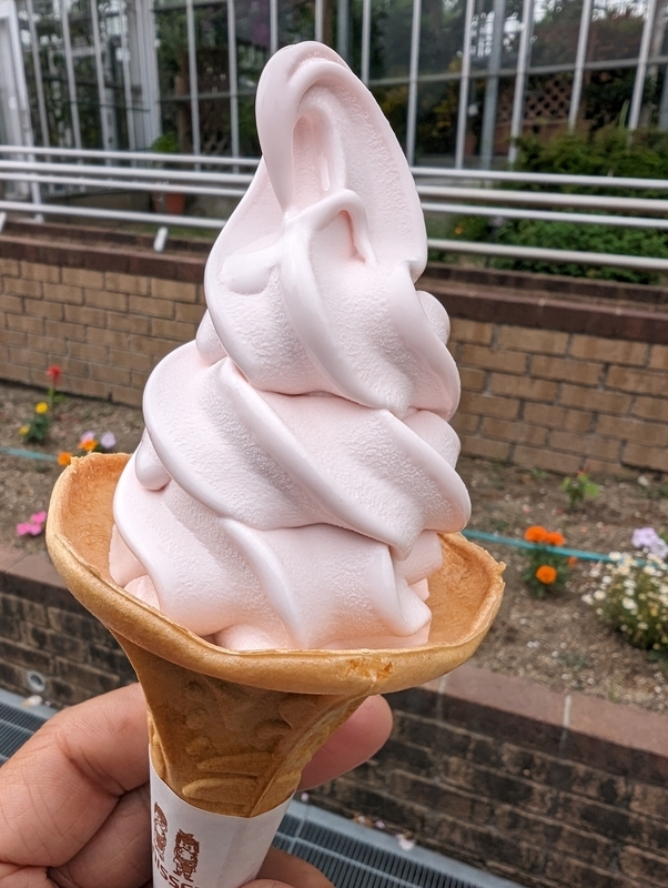 北九州市「グリーンパーク」のばら園で薔薇ソフト体験 - 今この瞬間！