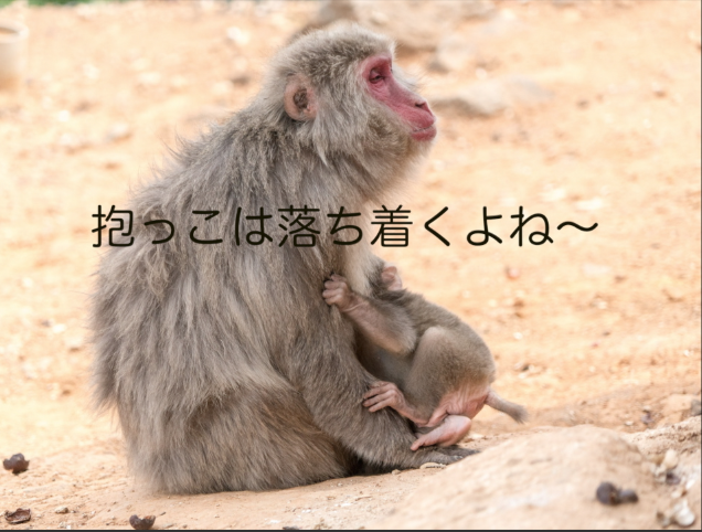 f:id:sanitam:20170122074611p:plain