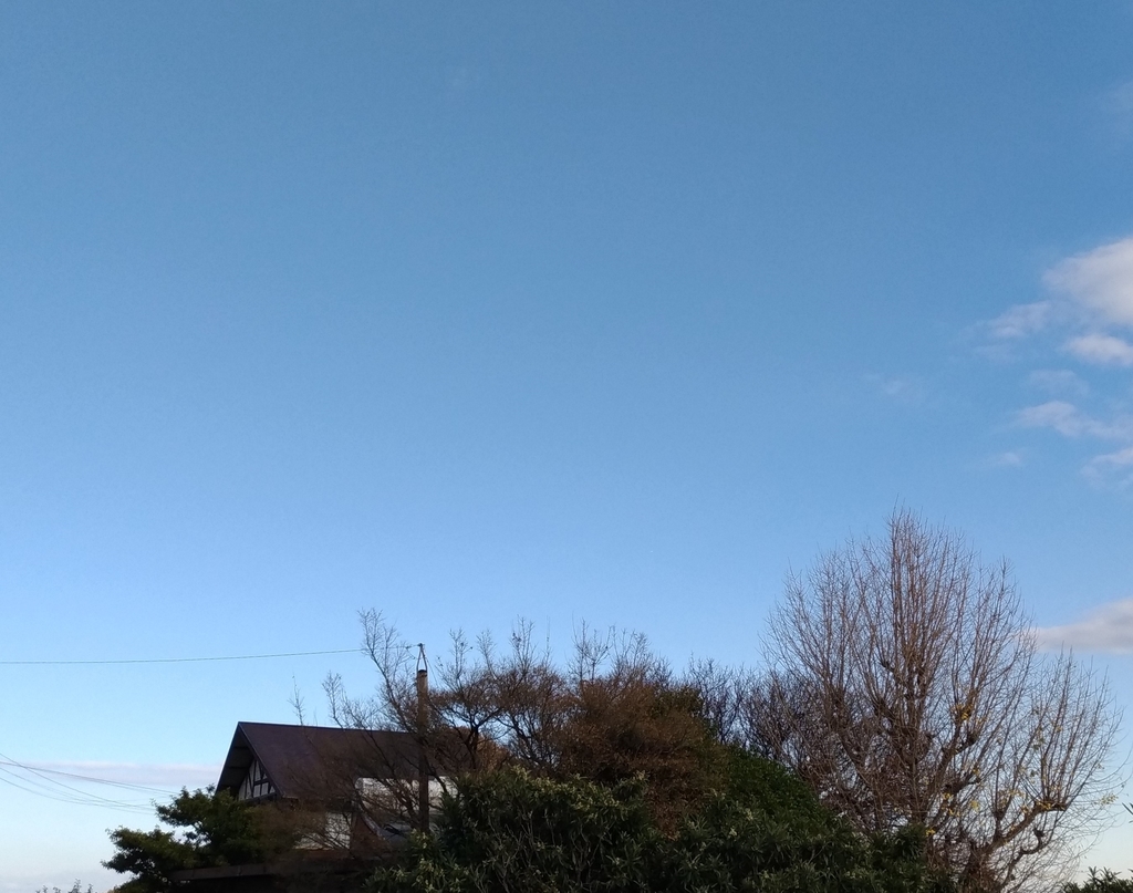 f:id:sankairenzoku10cm:20181208202059j:plain f:id:sankairenzoku10cm:20181208202059j:plain