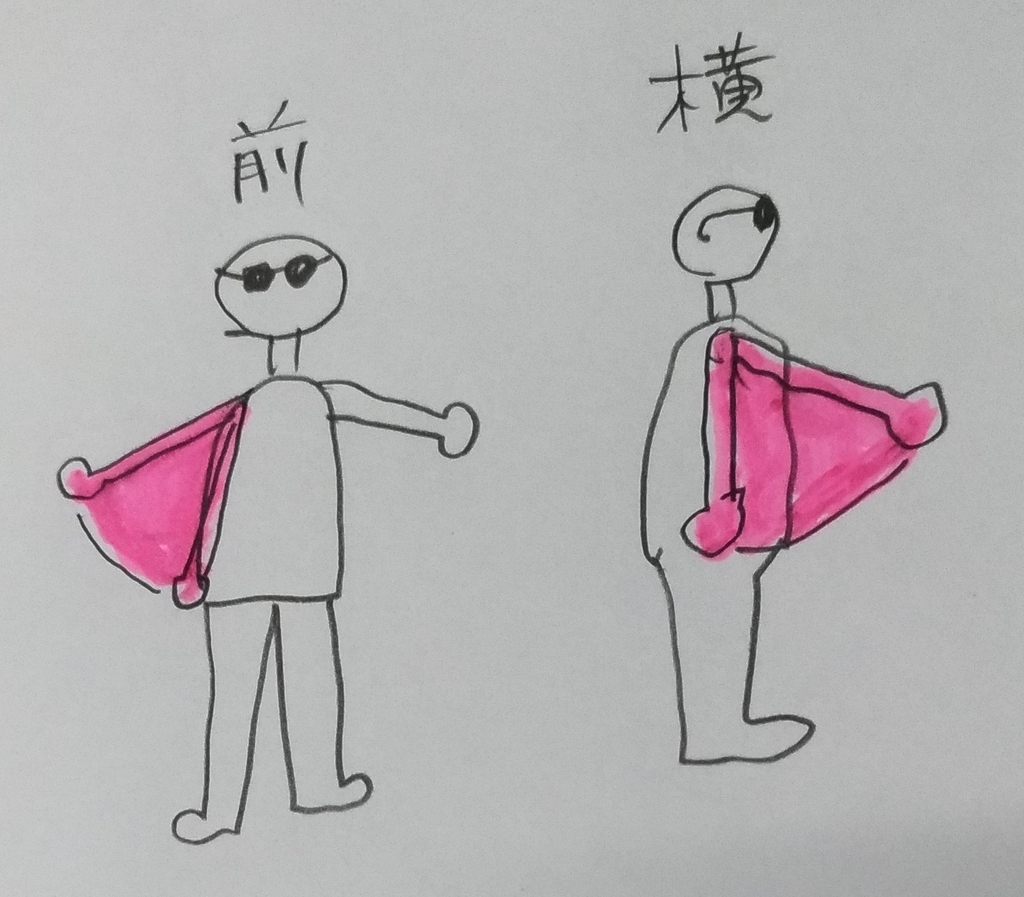 f:id:sankairenzoku10cm:20190112095534j:plain f:id:sankairenzoku10cm:20190112095534j:plain