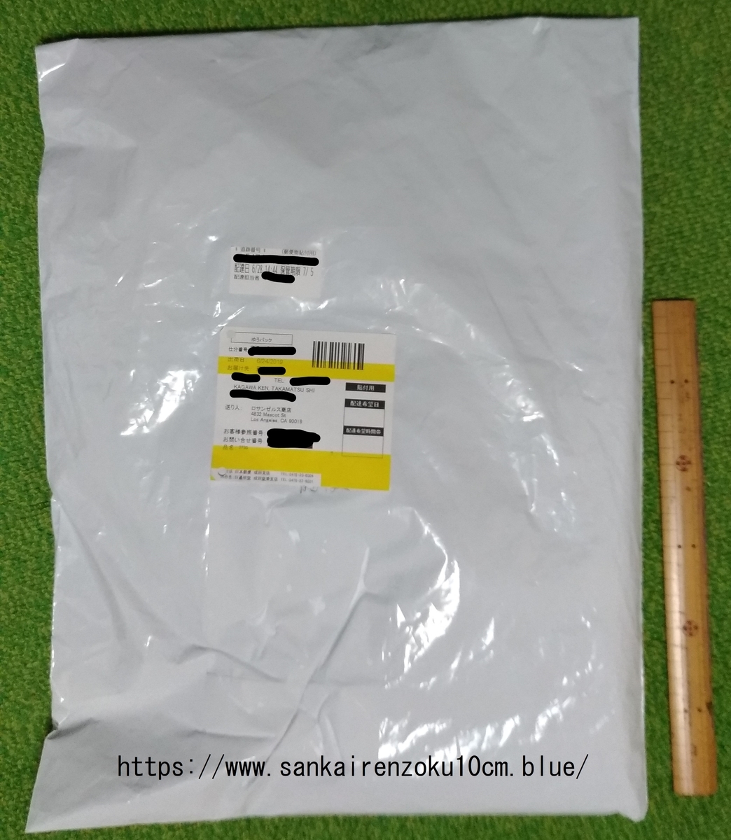 f:id:sankairenzoku10cm:20190628214215j:plain