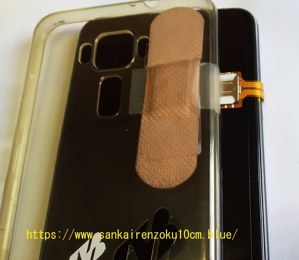 f:id:sankairenzoku10cm:20190723161556j:plain f:id:sankairenzoku10cm:20190723161556j:plain