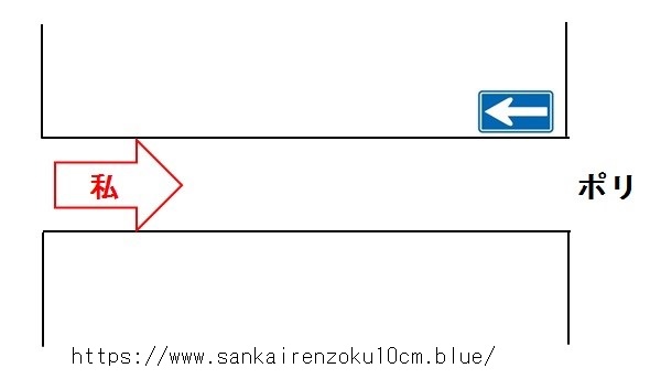 f:id:sankairenzoku10cm:20190802165822j:plain