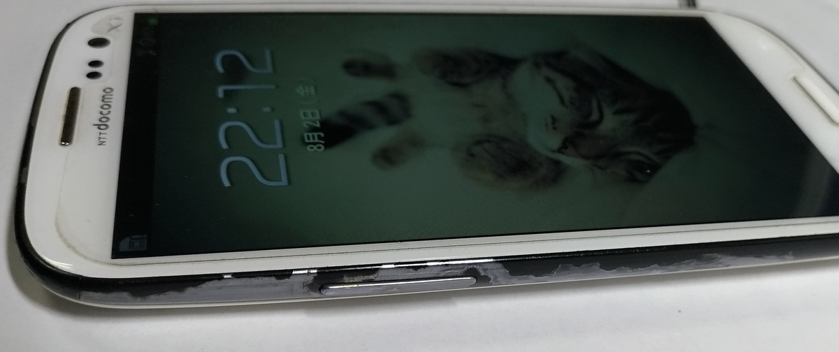 f:id:sankairenzoku10cm:20190803103341j:plain