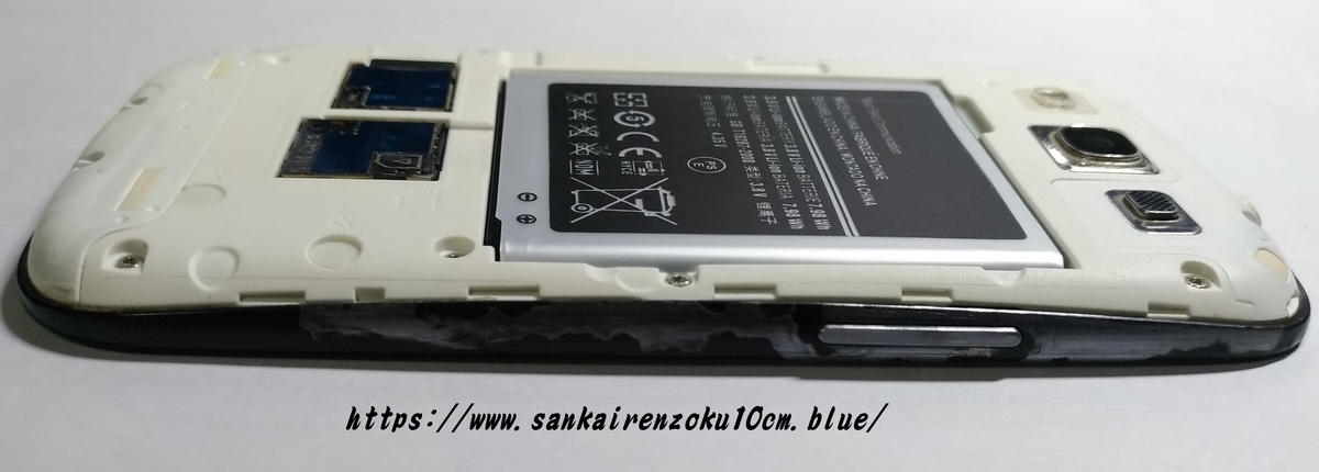 f:id:sankairenzoku10cm:20190803103633j:plain