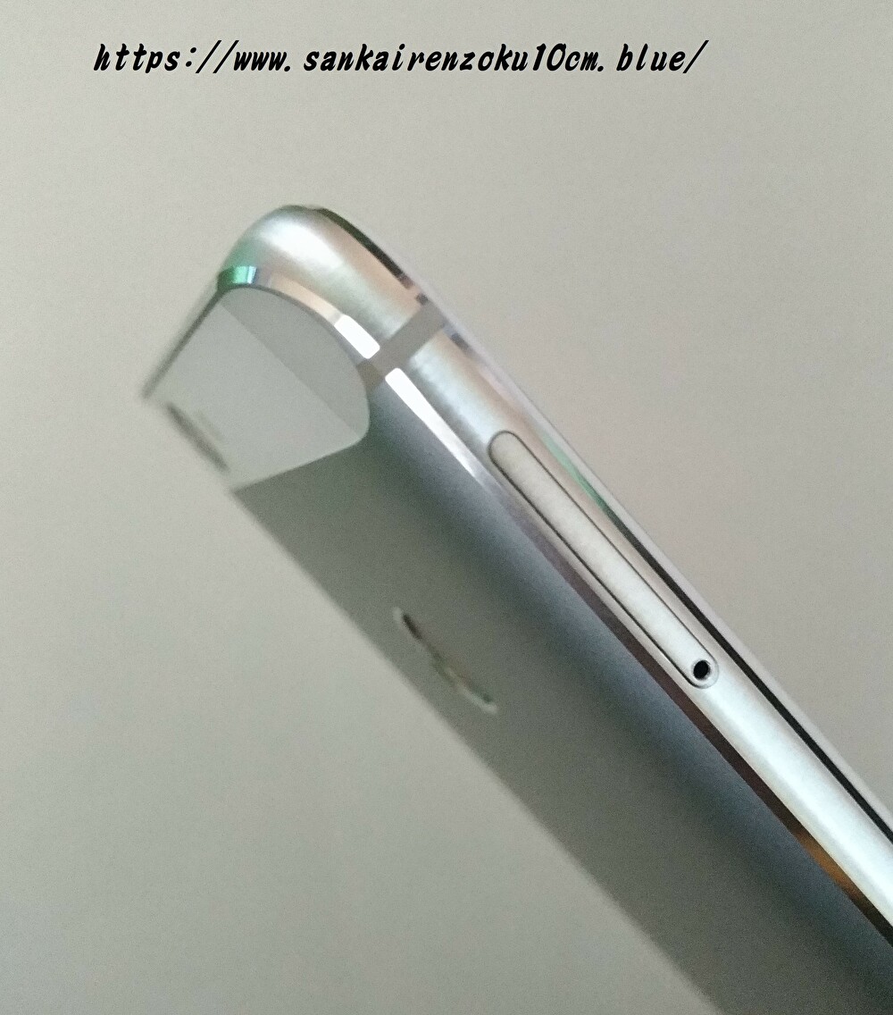f:id:sankairenzoku10cm:20190818112924j:plain