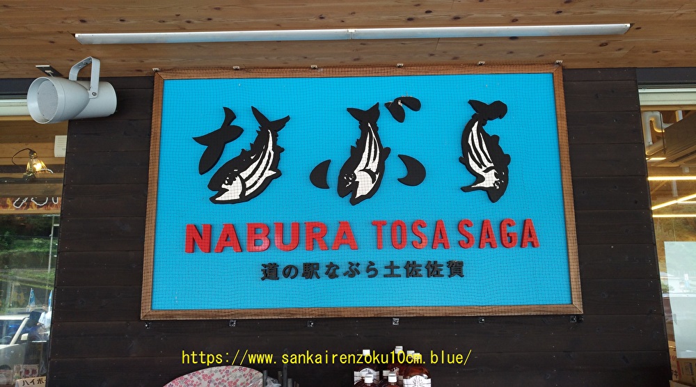 f:id:sankairenzoku10cm:20190911103827j:plain