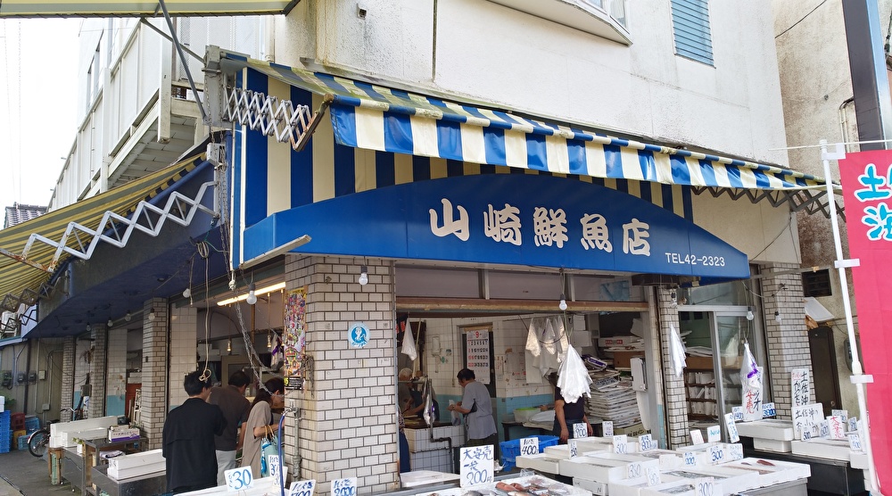 f:id:sankairenzoku10cm:20190911104317j:plain