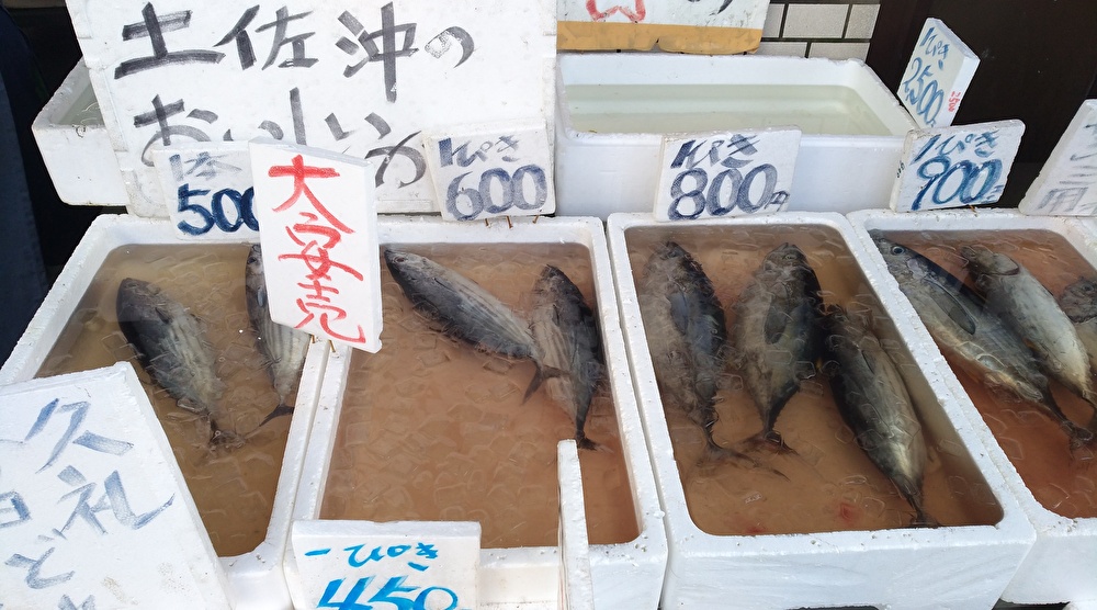 f:id:sankairenzoku10cm:20190911104326j:plain