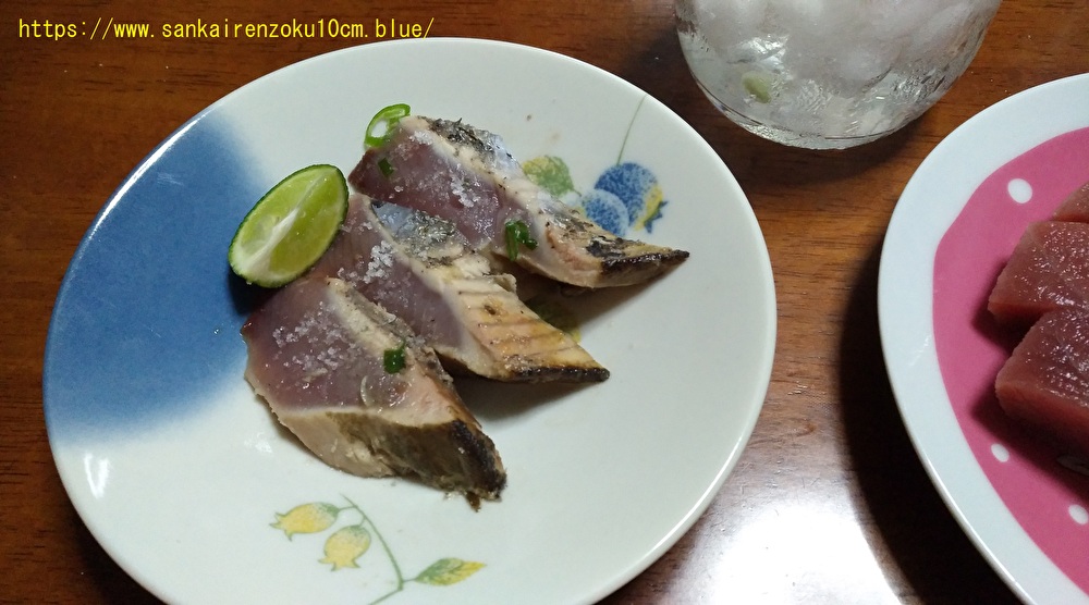 f:id:sankairenzoku10cm:20190911104444j:plain