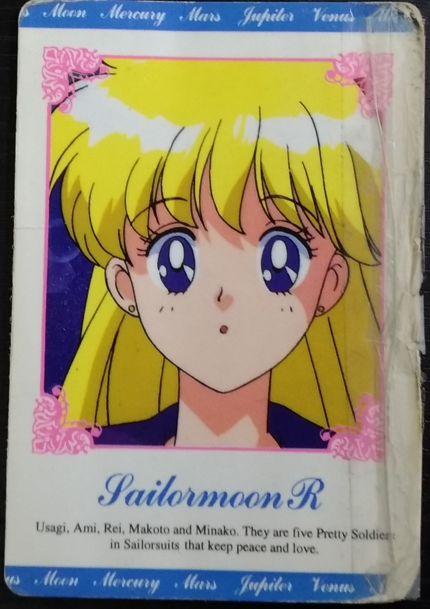 f:id:sankairenzoku10cm:20191205160956j:plain