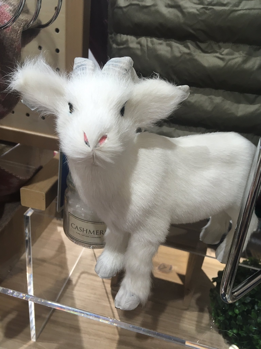 f:id:sankairenzoku10cm:20191206180838j:plain