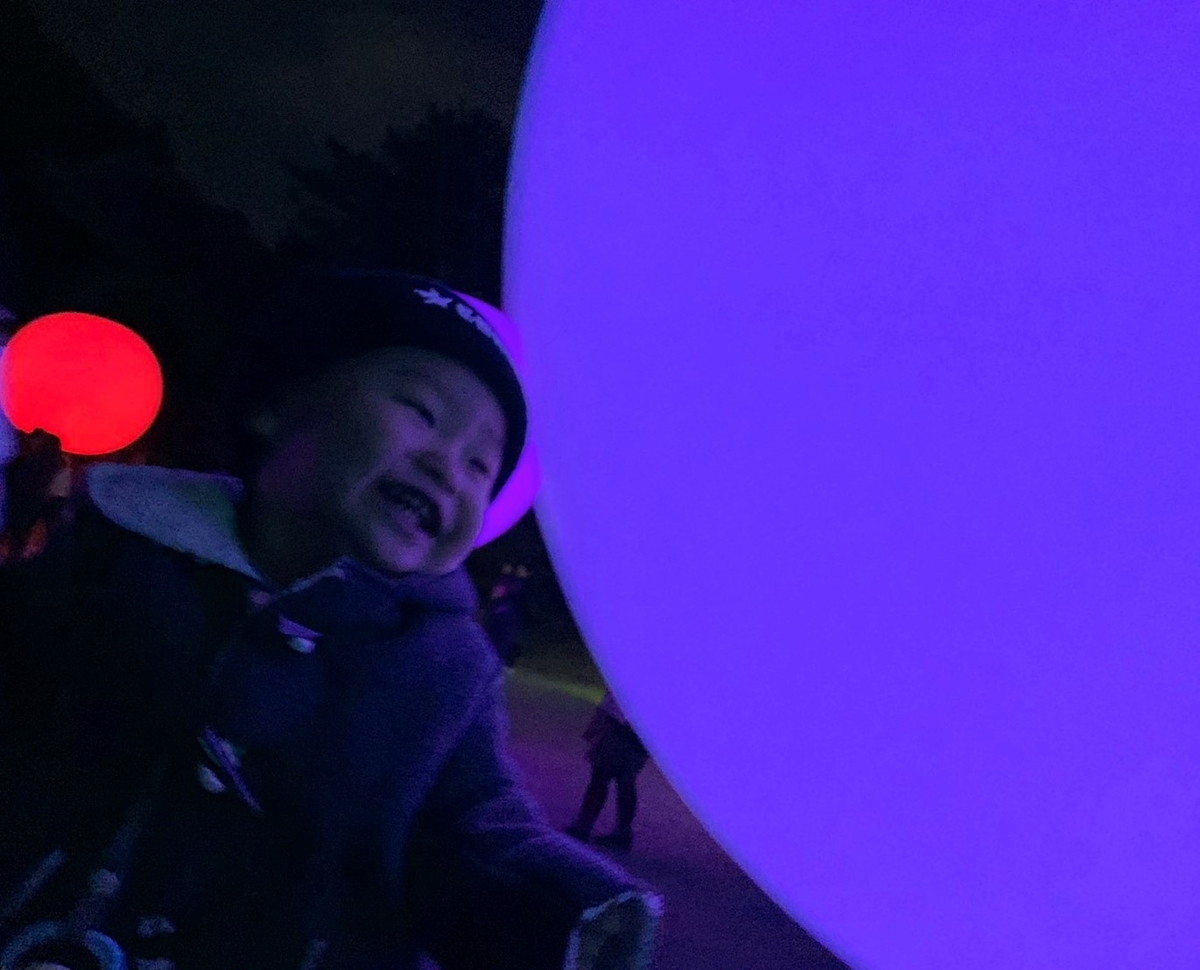 f:id:sankairenzoku10cm:20200210111452j:plain f:id:sankairenzoku10cm:20200210111452j:plain