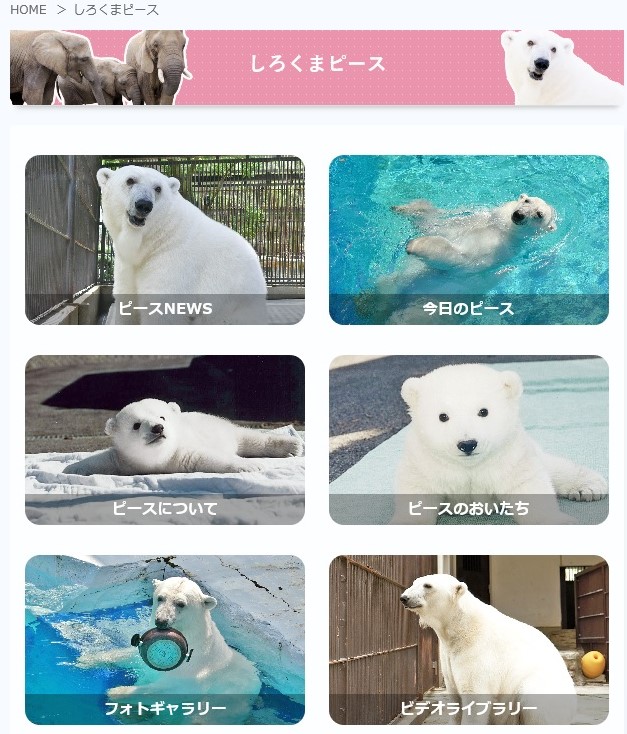 f:id:sankairenzoku10cm:20200420141930j:plain f:id:sankairenzoku10cm:20200420141930j:plain