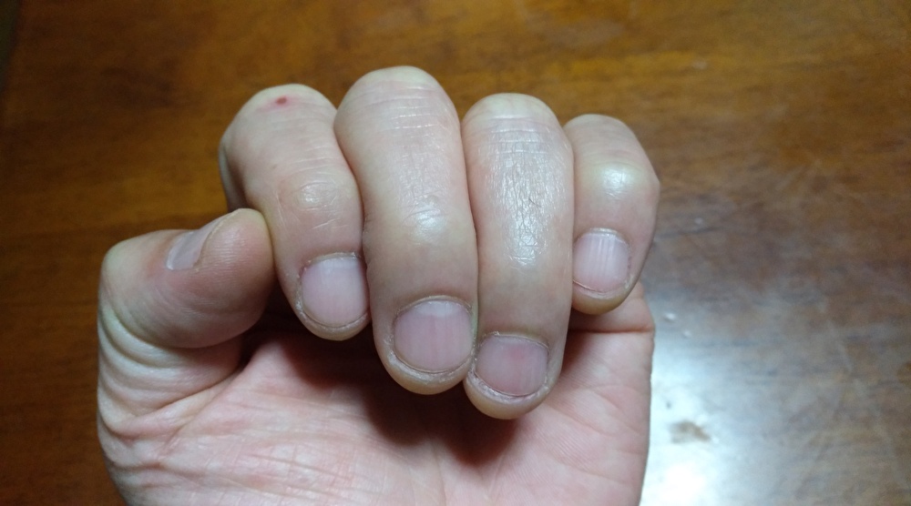 f:id:sankairenzoku10cm:20200421220441j:plain f:id:sankairenzoku10cm:20200421220441j:plain