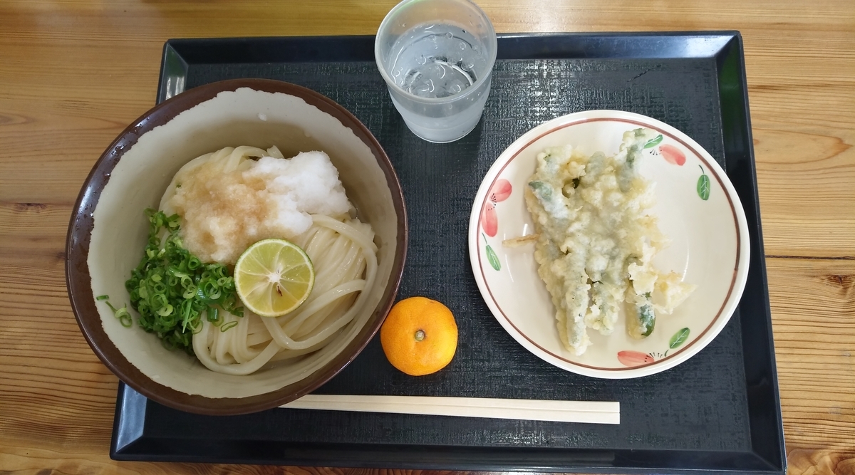 f:id:sankairenzoku10cm:20200730161313j:plain