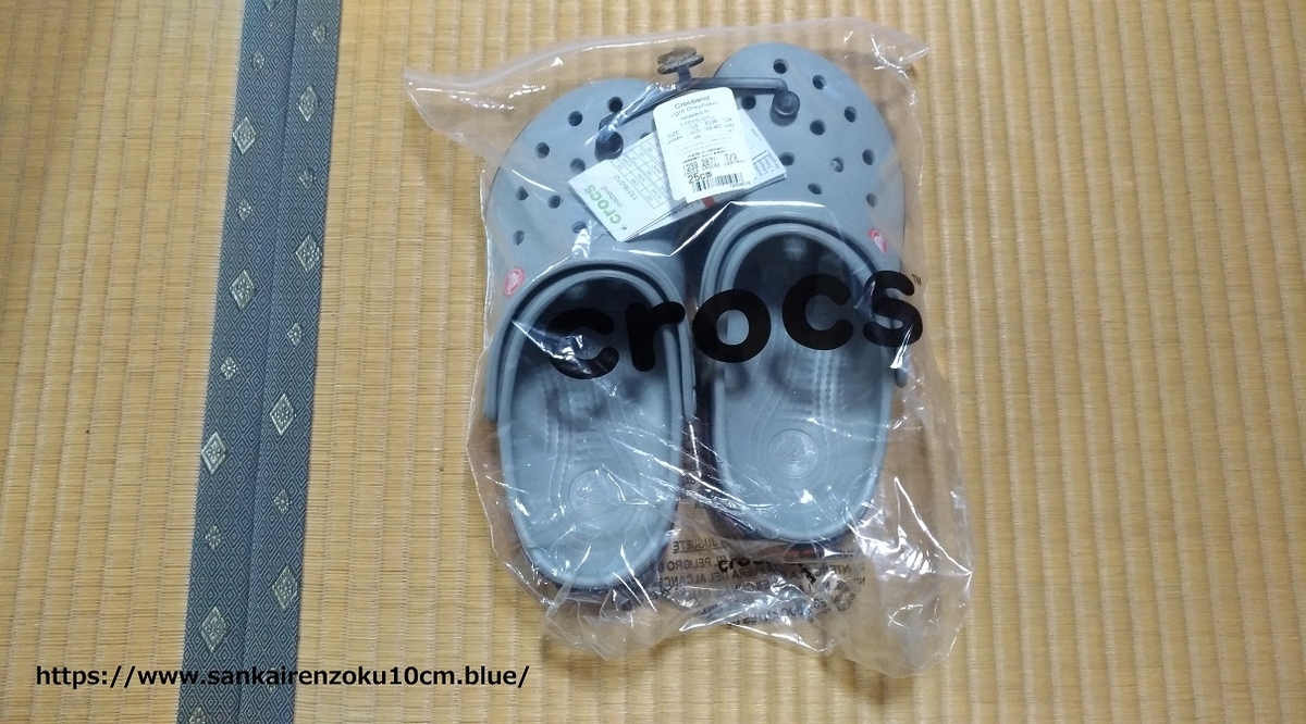 f:id:sankairenzoku10cm:20201102214530j:plain