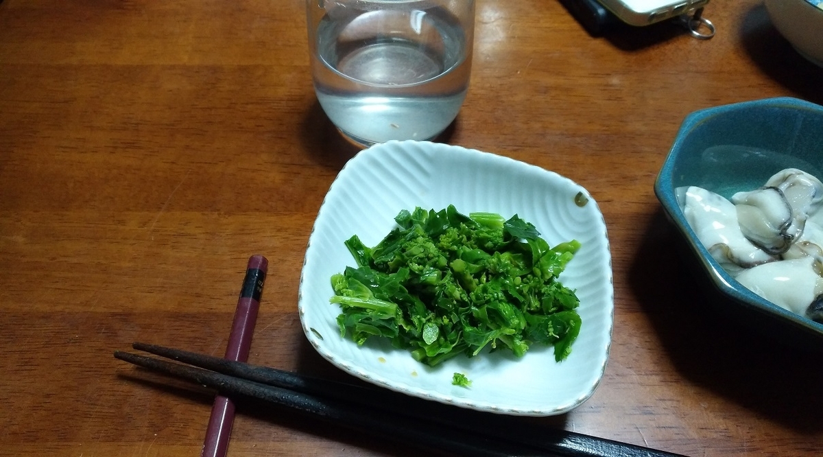 f:id:sankairenzoku10cm:20210317155217j:plain