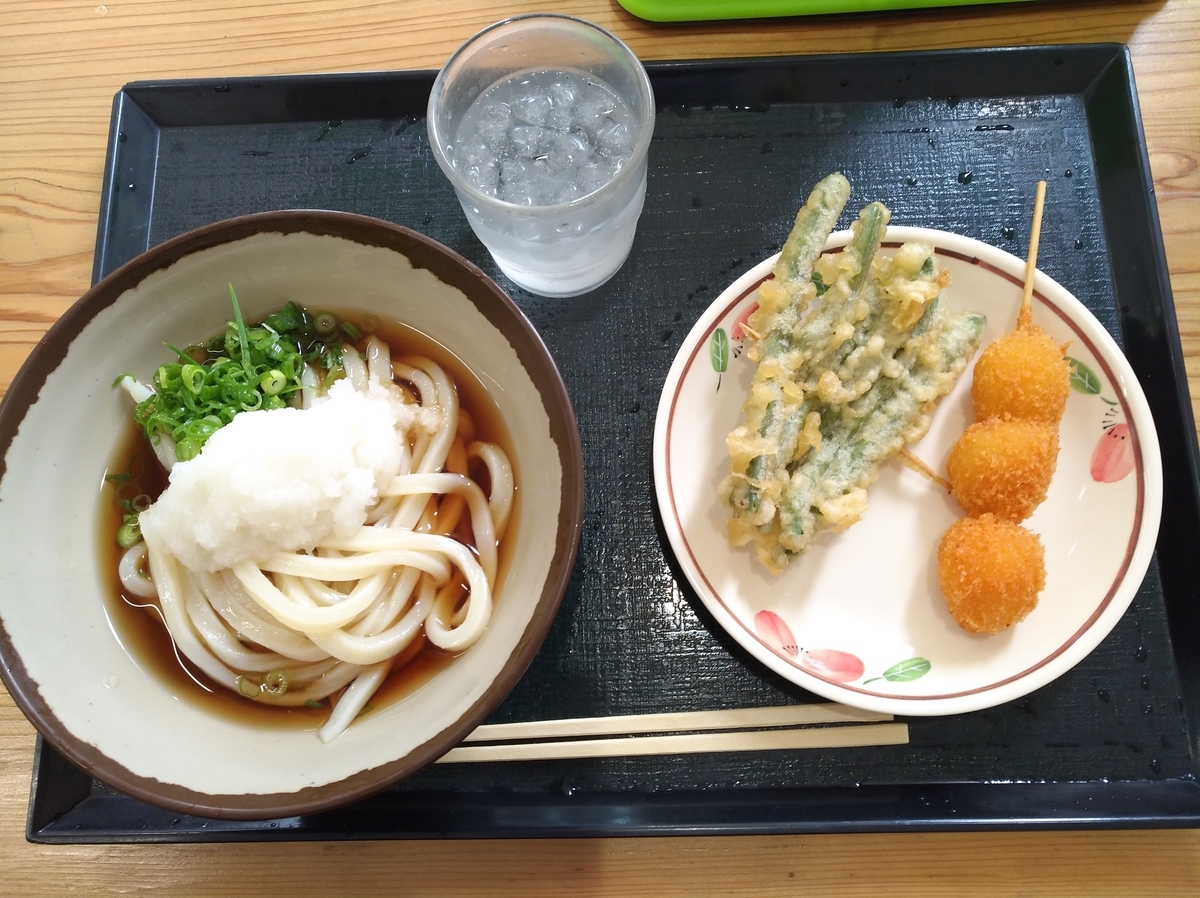 f:id:sankairenzoku10cm:20210706123931j:plain