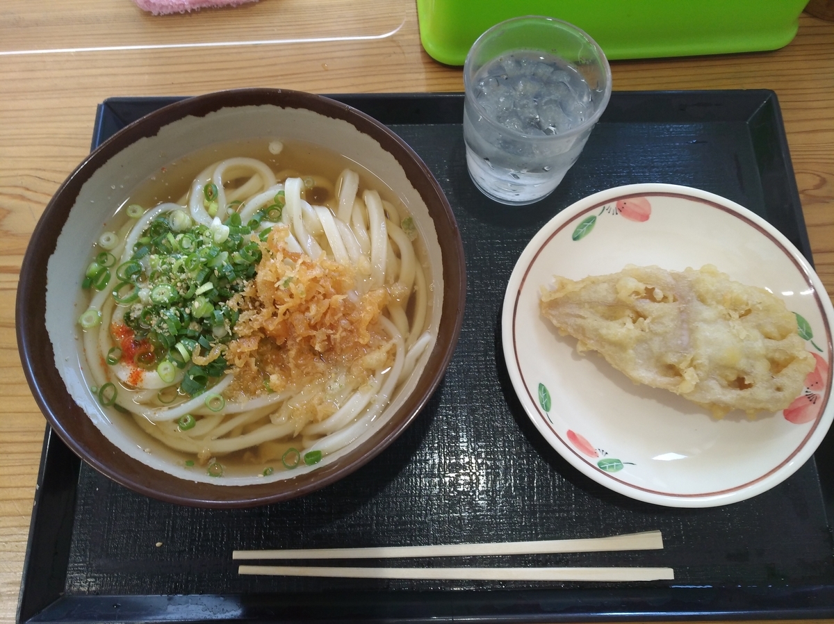 f:id:sankairenzoku10cm:20210730125212j:plain