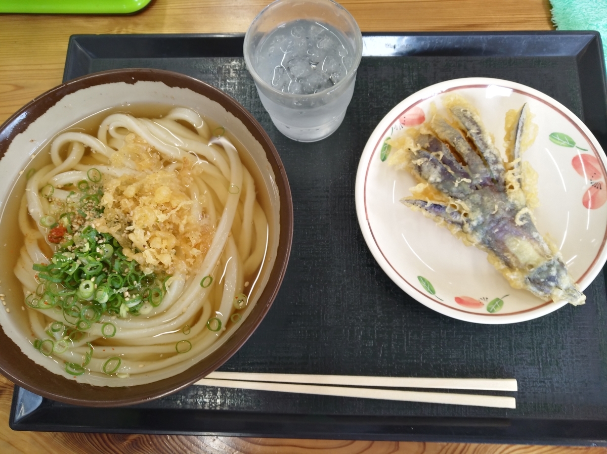 f:id:sankairenzoku10cm:20210803124214j:plain