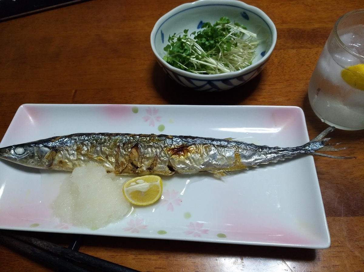 f:id:sankairenzoku10cm:20211028115411j:plain